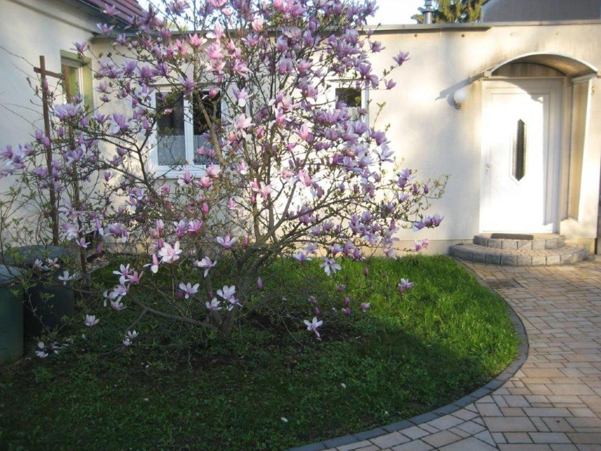 Holiday home Dresden, Strietzel